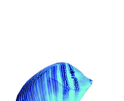 蓝色梦幻海鱼素材