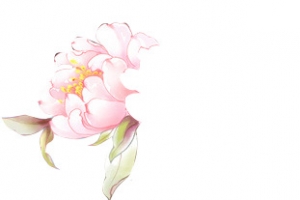 中国风 手绘花 png素材