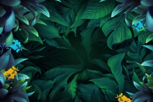 花背景 绿植背景