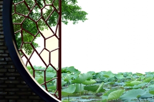 夏日荷花清新banner背景
