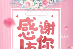 感恩节弟十一分