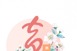 情人节鹊桥相会