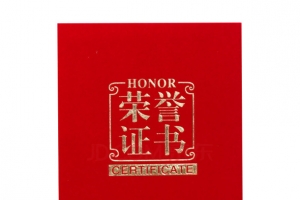 荣誉证书素材