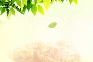 食品背景
