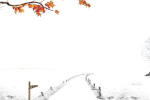 冬天白色雪景海报背景