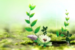 绿色植物海报