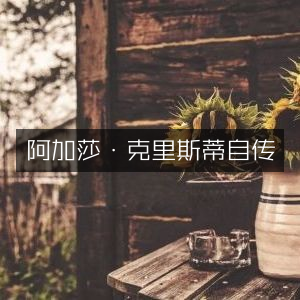 阿加莎·克里斯蒂自传，提升个人成长与能力的必读之作