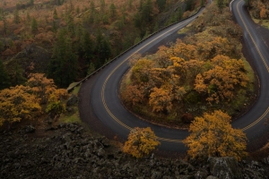 道路 转弯 树木 秋天 风景 鸟瞰 4k壁纸 3840x2160