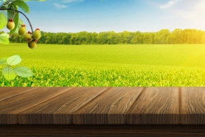果园水果青苹果海报Banner
