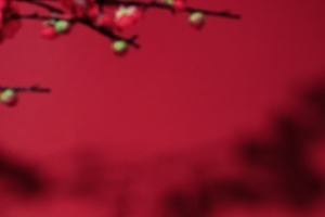 中国红简约场景6