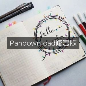 Pandownload修复版本