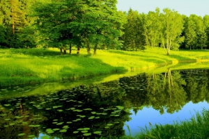 淘宝背景图