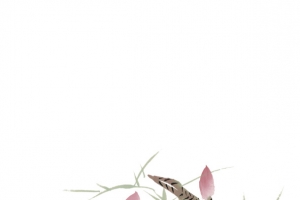 手绘中国风荷花水墨画