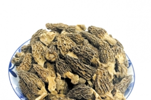 羊肚菌 药材 补品 滋补 养生