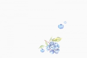 进口食品水果蓝莓背景
