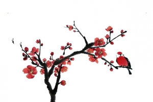 梅花类免抠PNG图片素材