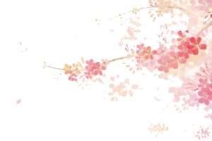 粉色樱花与长命锁