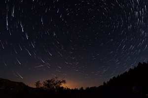 棵树 剪影 星星 冰柜灯 夜间 4k壁纸 3840x2160