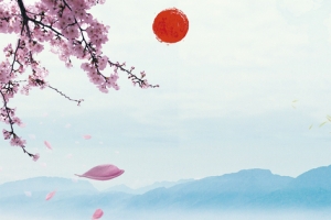 白露文艺景色banner