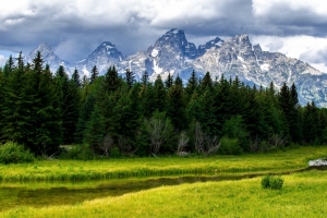 大提顿国家公园,高峰,树林,小河流,美丽的自然风景3840x2160壁纸