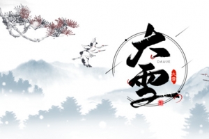 大雪树枝白鹤雪花