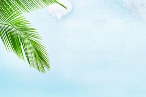 夏日清爽电商产品背景图