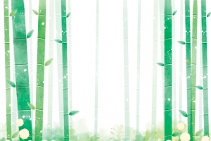 手绘绿色竹林背景