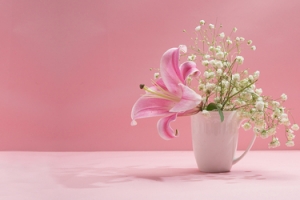 淘宝 店招 banner 背景