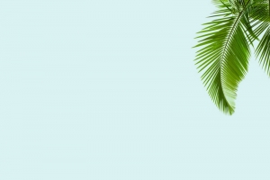 浅蓝色绿植宣传H5背景