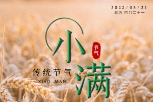 金黄系列之24节气小满