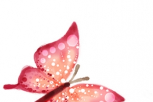 水彩蝴蝶无框画设计
