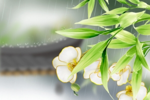 清明艺术字印章花朵元素图