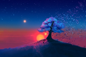 夕阳红树木插画