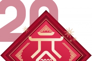 元旦2021烟花牛年