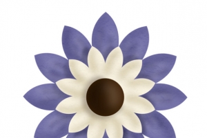 手绘花瓣