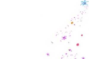 花朵和花瓣随风漂浮