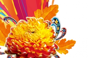 菊花