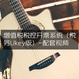 增值税税控开票系统（税务Ukey版）配套教程视频