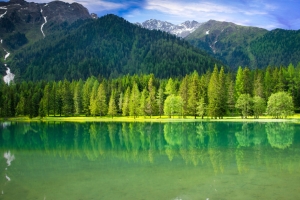 青山绿水 绿色 树木 树林 森林 湖泊 湖水 流水 大自然 4K风景壁纸
