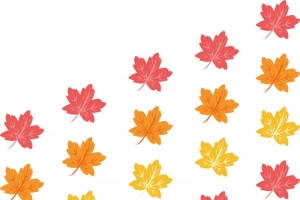 彩色枫叶花纹
