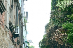 雨中小巷