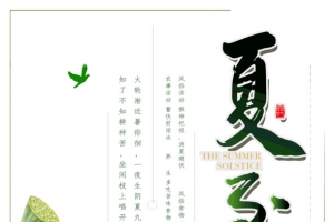 夏至荷花蜻蜓荷叶燕子
