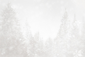 灰色浪漫雪天背景