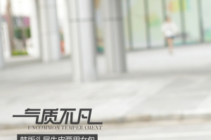 气质不凡高端包包设计主题图