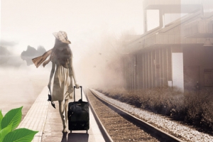 旅游海报banner