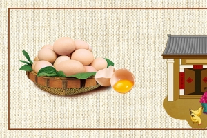 乡村土鸡蛋banner