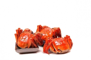 红色大闸蟹