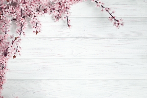 桃花木板背景图