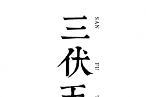 清新简约海报设计