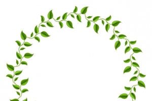 绿色树叶圆圈装饰